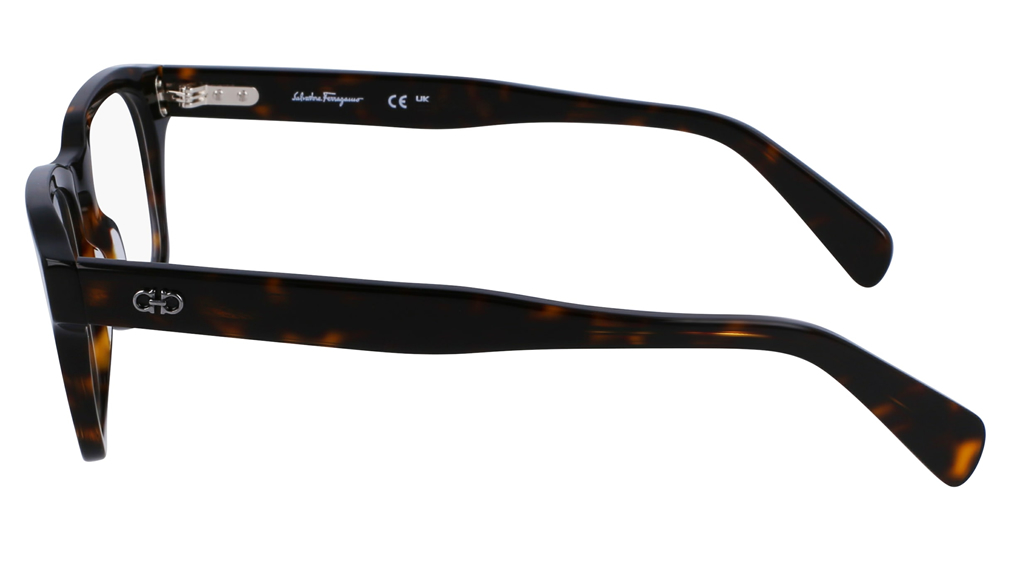 ferragamo-glasses-sf-2958-219-side
