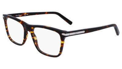ferragamo-glasses-sf-2959-219-l