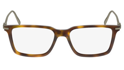 ferragamo-glasses-sf-2977-240-front