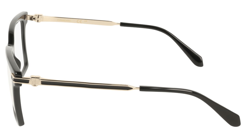 ferragamo-glasses-sf-3039-001-side