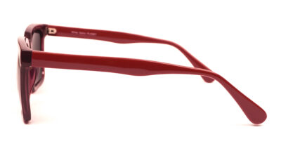 pl-81-2s-prescription-sunglasses-side