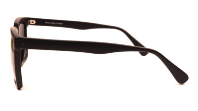 PL 81-3S Sunglasses - Image 4